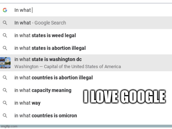 I love Google. | I LOVE GOOGLE | image tagged in stupid searches,state washington dc,google search | made w/ Imgflip meme maker