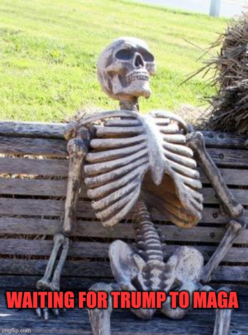 Waiting Skeleton | WAITING FOR TRUMP TO MAGA | image tagged in memes,waiting skeleton | made w/ Imgflip meme maker