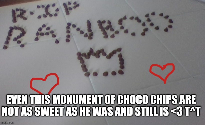i made this choco chip monument for my beloved ranboo. R.I.P man R.I.P | EVEN THIS MONUMENT OF CHOCO CHIPS ARE NOT AS SWEET AS HE WAS AND STILL IS <3 T^T | image tagged in ranboo,iloveranboo,ranbooisdead,imsadnow | made w/ Imgflip meme maker