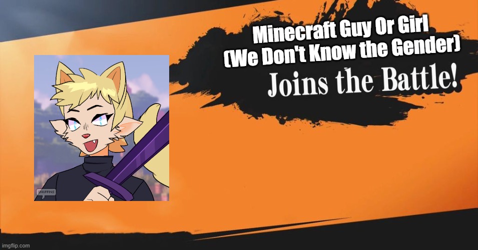 Smash Bros. | Minecraft Guy Or Girl (We Don't Know the Gender) | image tagged in smash bros | made w/ Imgflip meme maker