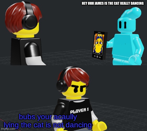 HEY UHH JAMES IS THE CAT REALLY DANCING; bubs your acaully lying the cat is not dancing | made w/ Imgflip meme maker