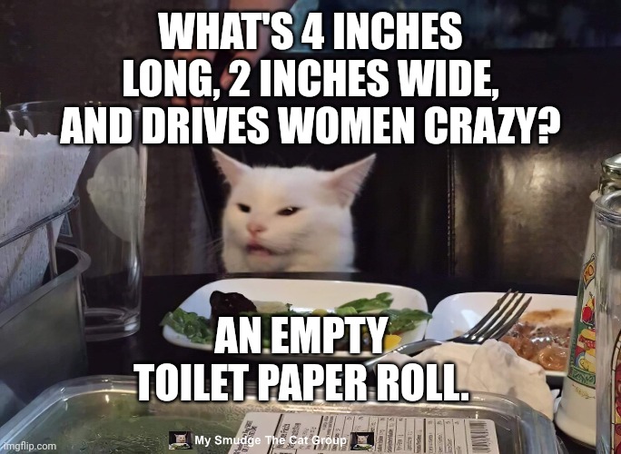 WHAT'S 4 INCHES LONG, 2 INCHES WIDE, AND DRIVES WOMEN CRAZY? AN EMPTY TOILET PAPER ROLL. | image tagged in smudge the cat | made w/ Imgflip meme maker