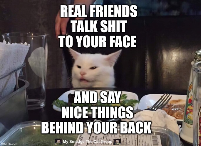 REAL FRIENDS TALK SHIT TO YOUR FACE; AND SAY NICE THINGS BEHIND YOUR BACK | image tagged in smudge the cat | made w/ Imgflip meme maker