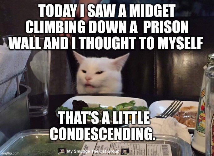 TODAY I SAW A MIDGET CLIMBING DOWN A  PRISON WALL AND I THOUGHT TO MYSELF; THAT'S A LITTLE CONDESCENDING. | image tagged in smudge the cat | made w/ Imgflip meme maker