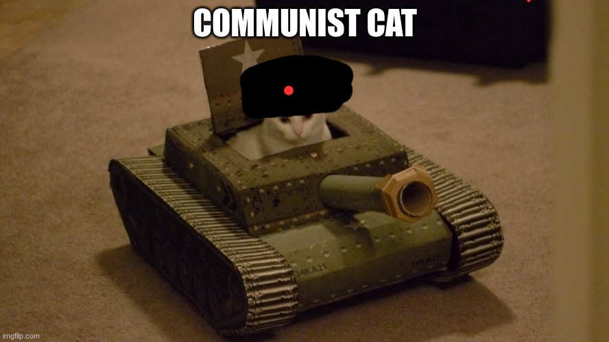 Cat driving a tank | COMMUNIST CAT | image tagged in cat driving a tank | made w/ Imgflip meme maker