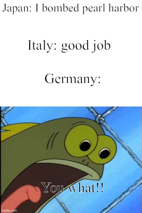 U done goofed up now |  Japan: I bombed pearl harbor; Italy: good job; Germany:; You what!! | image tagged in you what,pearl harbor,ww2,spongebob,germany,barney will eat all of your delectable biscuits | made w/ Imgflip meme maker