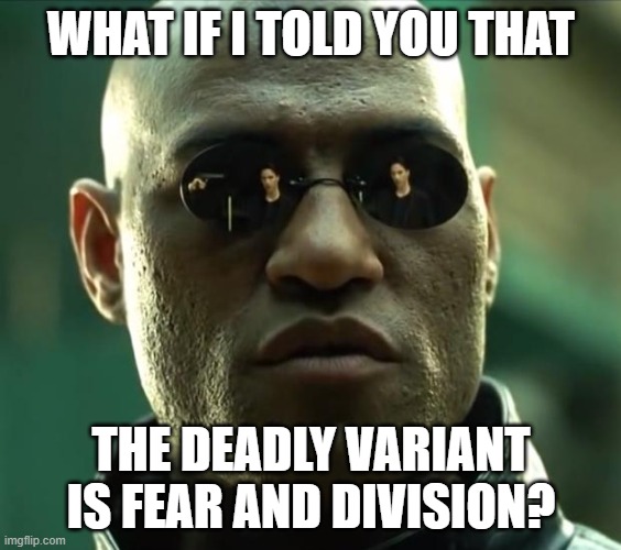 Morpheus  |  WHAT IF I TOLD YOU THAT; THE DEADLY VARIANT IS FEAR AND DIVISION? | image tagged in morpheus | made w/ Imgflip meme maker