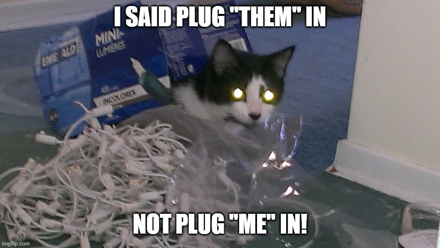 Plug Me In | I SAID PLUG "THEM" IN; NOT PLUG "ME" IN! | image tagged in christmas lights,christmas memes,funny cats,felix the cat | made w/ Imgflip meme maker