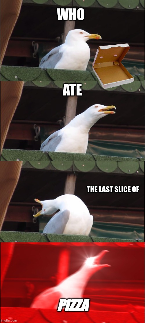 seriously  who ate the last slice of pizza | WHO; ATE; THE LAST SLICE OF; PIZZA | image tagged in memes,inhaling seagull | made w/ Imgflip meme maker