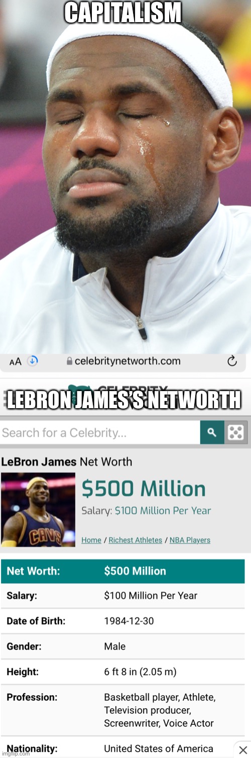 Lebroni | CAPITALISM; LEBRON JAMES’S NETWORTH | image tagged in lebron james,sports | made w/ Imgflip meme maker