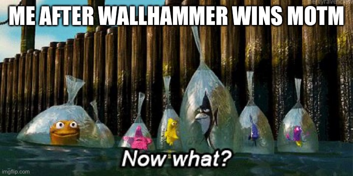 Now What? | ME AFTER WALLHAMMER WINS MOTM | image tagged in now what | made w/ Imgflip meme maker