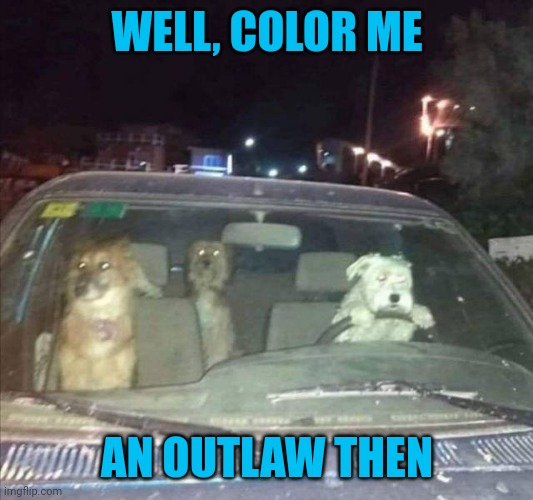Joyride | WELL, COLOR ME AN OUTLAW THEN | image tagged in joyride | made w/ Imgflip meme maker