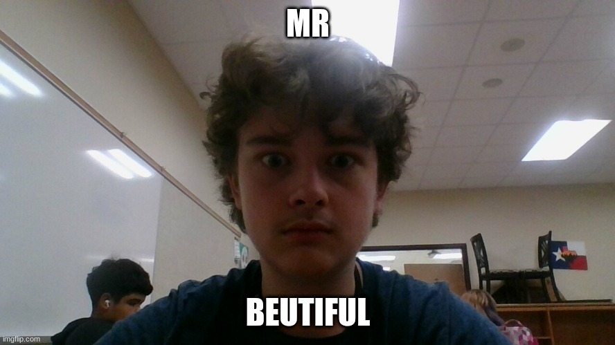 MR; BEUTIFUL | image tagged in funny,memes | made w/ Imgflip meme maker