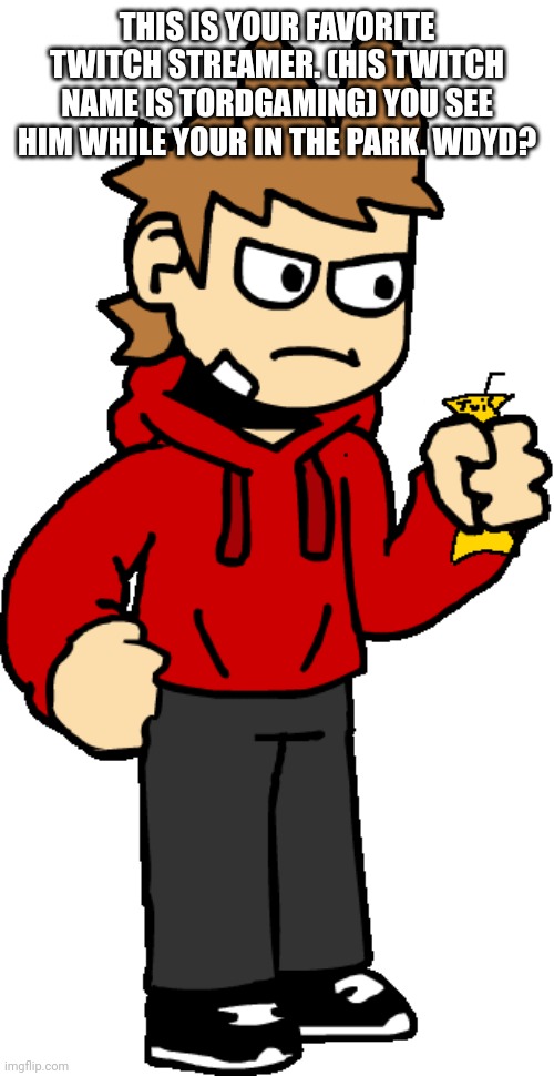 Let's see who roleplays with tord. | THIS IS YOUR FAVORITE TWITCH STREAMER. (HIS TWITCH NAME IS TORDGAMING) YOU SEE HIM WHILE YOUR IN THE PARK. WDYD? | made w/ Imgflip meme maker