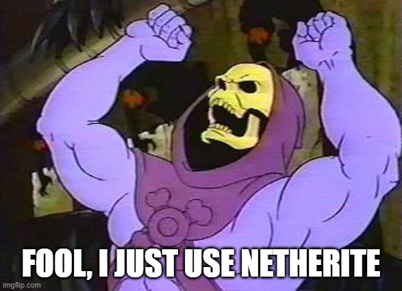 You Fool Skeletor | FOOL, I JUST USE NETHERITE | image tagged in you fool skeletor | made w/ Imgflip meme maker