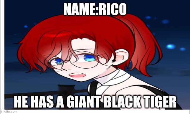 NAME:RICO HE HAS A GIANT BLACK TIGER | made w/ Imgflip meme maker