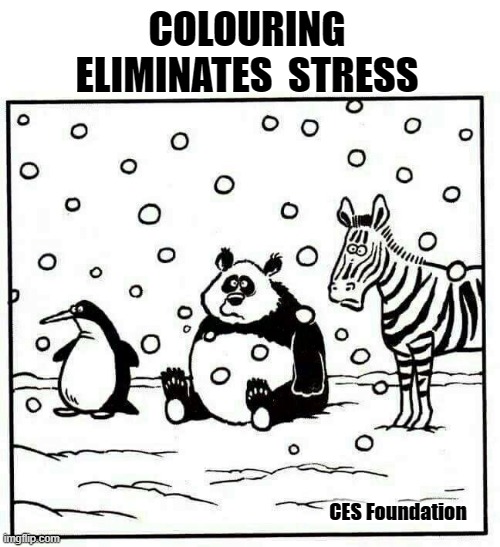 CES Foundation | COLOURING
ELIMINATES  STRESS; CES Foundation | image tagged in colours | made w/ Imgflip meme maker
