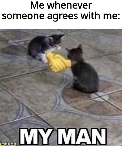 Cats shaking hands | Me whenever someone agrees with me: | image tagged in cats shaking hands | made w/ Imgflip meme maker