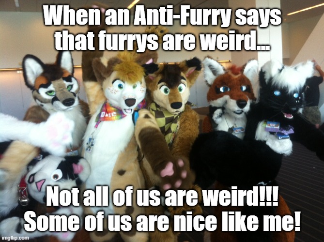 It do be true. | When an Anti-Furry says that furrys are weird... Not all of us are weird!!! Some of us are nice like me! | image tagged in furries | made w/ Imgflip meme maker