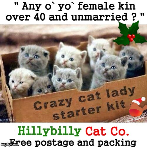 Cat Lady Xmas | image tagged in cute kittens | made w/ Imgflip meme maker