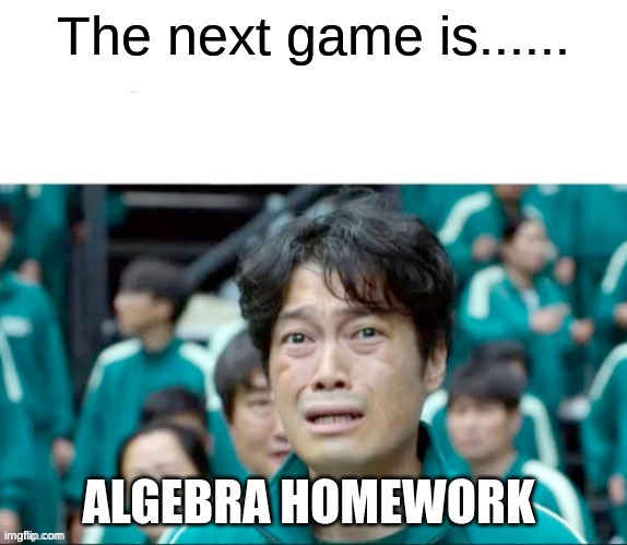 Your next task is to- | The next game is...... ALGEBRA HOMEWORK | image tagged in your next task is to- | made w/ Imgflip meme maker