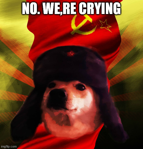 Comrade Doge | NO. WE,RE CRYING | image tagged in comrade doge | made w/ Imgflip meme maker