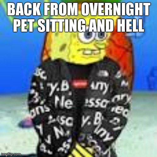 Spongebob Drip | BACK FROM OVERNIGHT PET SITTING AND HELL | image tagged in spongebob drip | made w/ Imgflip meme maker