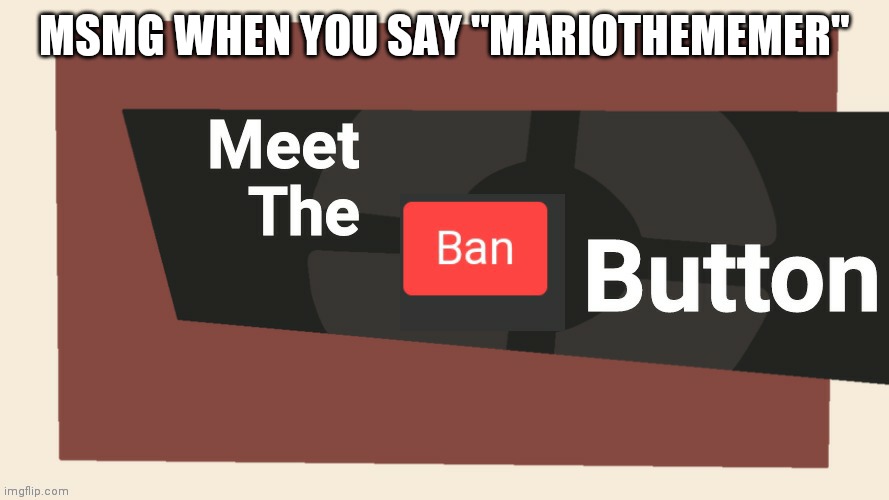 Or RetroTheFloof | MSMG WHEN YOU SAY "MARIOTHEMEMER" | image tagged in meet the ban button | made w/ Imgflip meme maker