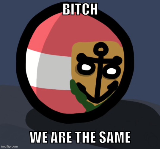 BITCH WE ARE THE SAME | image tagged in the nation is torn apart and we were the cause | made w/ Imgflip meme maker