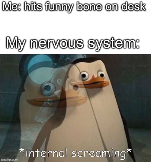 flashbacks (mission failed, we’ll work out next time) | Me: hits funny bone on desk; My nervous system: | image tagged in private internal screaming | made w/ Imgflip meme maker