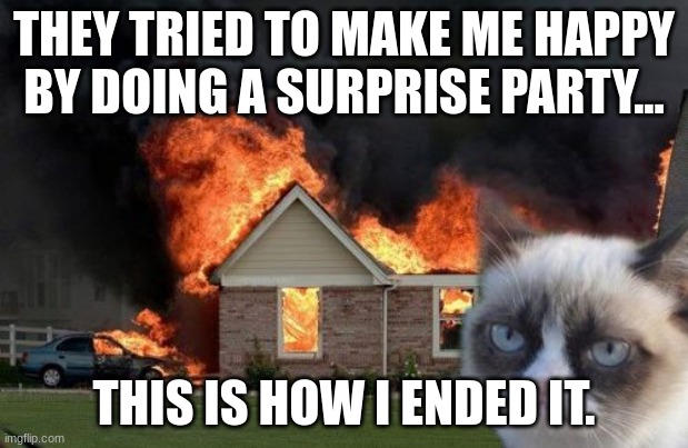Burn Kitty |  THEY TRIED TO MAKE ME HAPPY BY DOING A SURPRISE PARTY... THIS IS HOW I ENDED IT. | image tagged in memes,burn kitty,grumpy cat | made w/ Imgflip meme maker