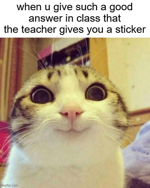 School meme. relatable |  when u give such a good answer in class that the teacher gives you a sticker | image tagged in memes,smiling cat,relatable,nostalgia,true | made w/ Imgflip meme maker