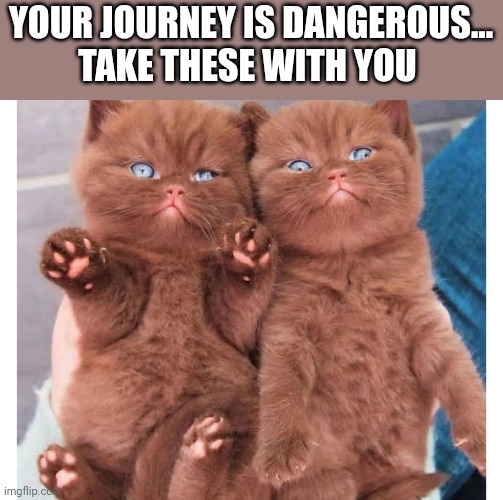 YOUR JOURNEY IS DANGEROUS...
TAKE THESE WITH YOU | image tagged in funny memes | made w/ Imgflip meme maker
