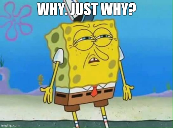 confused spongebob | WHY. JUST WHY? | image tagged in confused spongebob | made w/ Imgflip meme maker