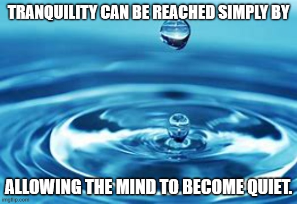 TRANQUILITY CAN BE REACHED SIMPLY BY; ALLOWING THE MIND TO BECOME QUIET. | made w/ Imgflip meme maker