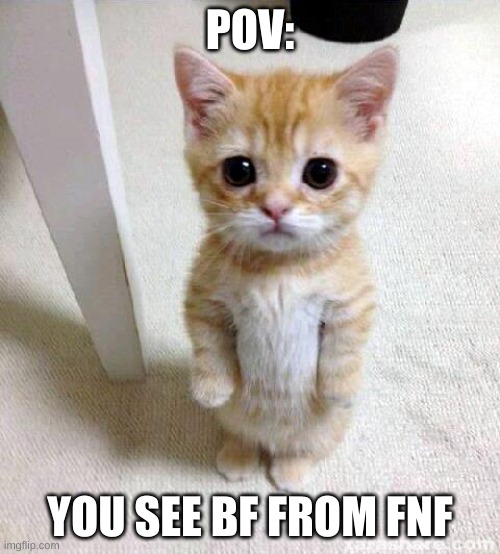 Cute Cat | POV:; YOU SEE BF FROM FNF | image tagged in memes,cute cat | made w/ Imgflip meme maker