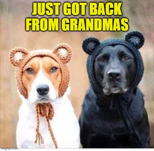 visited grandma | JUST GOT BACK FROM GRANDMAS | image tagged in grandma,dogo | made w/ Imgflip meme maker