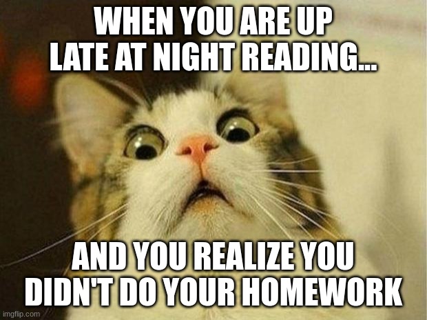 Scared Cat | WHEN YOU ARE UP LATE AT NIGHT READING... AND YOU REALIZE YOU DIDN'T DO YOUR HOMEWORK | image tagged in memes,scared cat | made w/ Imgflip meme maker