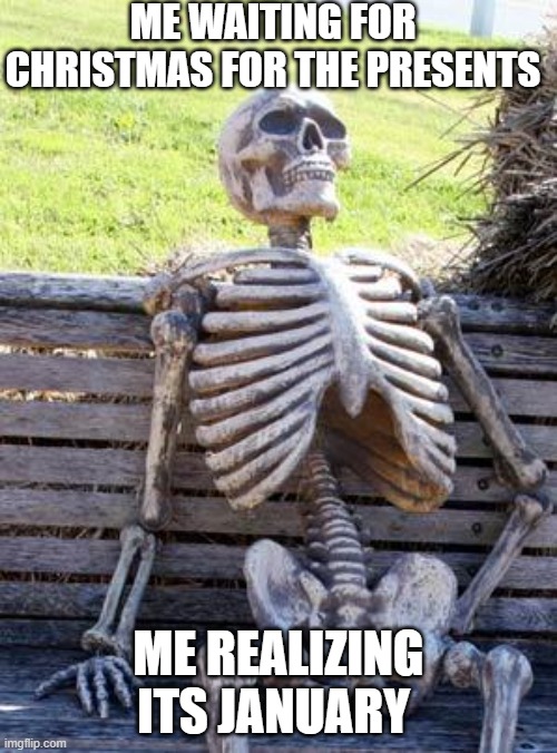 I know this happens to some of you | ME WAITING FOR CHRISTMAS FOR THE PRESENTS; ME REALIZING ITS JANUARY | image tagged in memes,waiting skeleton | made w/ Imgflip meme maker