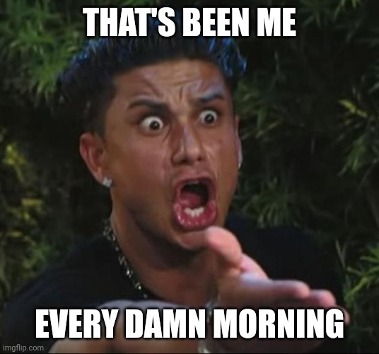 DJ Pauly D Meme | THAT'S BEEN ME EVERY DAMN MORNING | image tagged in memes,dj pauly d | made w/ Imgflip meme maker
