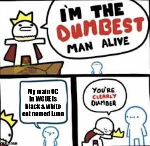 For real tho | My main OC in WCUE is black & white cat named Luna | image tagged in im the dumbest man alive | made w/ Imgflip meme maker
