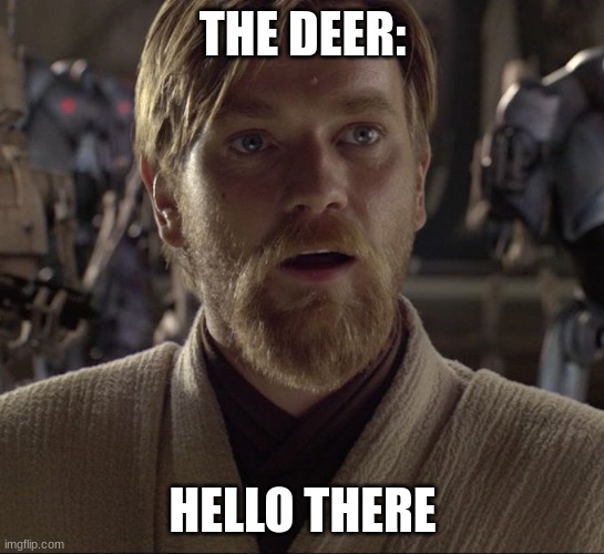 Obi Wan Hello There | THE DEER: HELLO THERE | image tagged in obi wan hello there | made w/ Imgflip meme maker