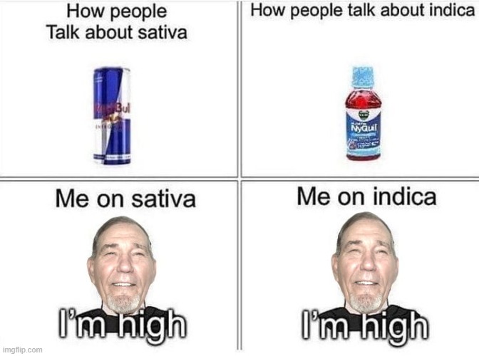 me on Weed | image tagged in sativa,indaca,kewlew | made w/ Imgflip meme maker