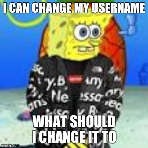 Spongebob Drip | I CAN CHANGE MY USERNAME; WHAT SHOULD I CHANGE IT TO | image tagged in spongebob drip | made w/ Imgflip meme maker
