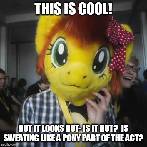 THIS IS COOL! BUT IT LOOKS HOT- IS IT HOT?  IS SWEATING LIKE A PONY PART OF THE ACT? | made w/ Imgflip meme maker