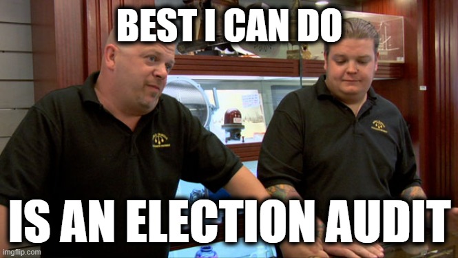 Pawn Stars Best I Can Do | BEST I CAN DO IS AN ELECTION AUDIT | image tagged in pawn stars best i can do | made w/ Imgflip meme maker