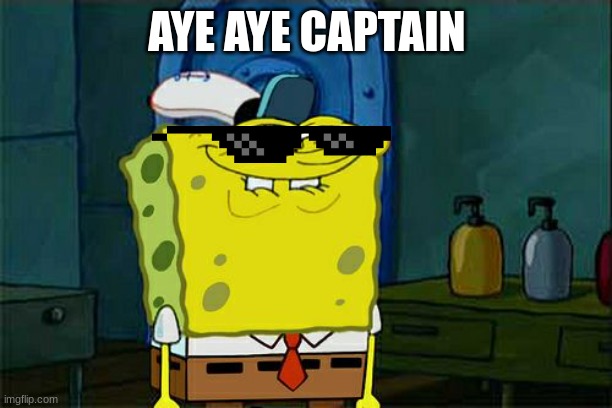 Don't You Squidward Meme | AYE AYE CAPTAIN | image tagged in memes,don't you squidward | made w/ Imgflip meme maker