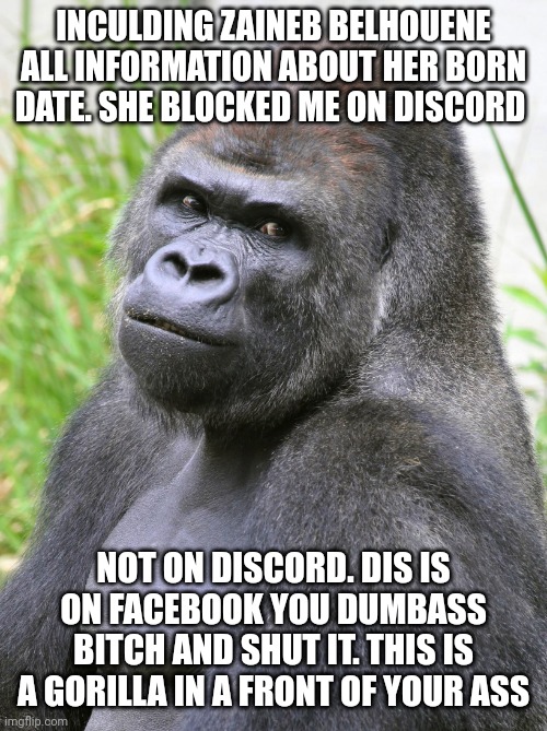 Zaineb Belhouene x randall | INCULDING ZAINEB BELHOUENE ALL INFORMATION ABOUT HER BORN DATE. SHE BLOCKED ME ON DISCORD; NOT ON DISCORD. DIS IS ON FACEBOOK YOU DUMBASS BITCH AND SHUT IT. THIS IS A GORILLA IN A FRONT OF YOUR ASS | image tagged in hot gorilla | made w/ Imgflip meme maker