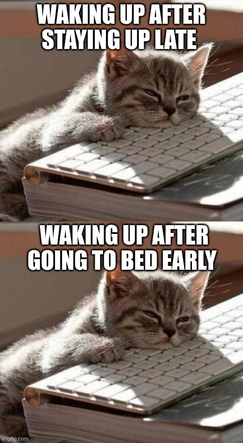solution: just don't sleep! |  WAKING UP AFTER STAYING UP LATE; WAKING UP AFTER GOING TO BED EARLY | image tagged in tired cat | made w/ Imgflip meme maker