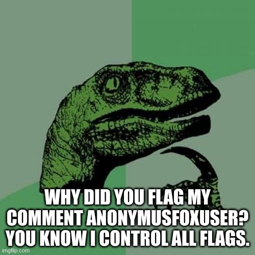 Why? | WHY DID YOU FLAG MY COMMENT ANONYMUSFOXUSER? YOU KNOW I CONTROL ALL FLAGS. | image tagged in memes,philosoraptor | made w/ Imgflip meme maker